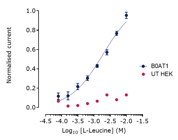 Dose-response relationship of L-Leucine transport in B0AT1-expressing membranes compared with untransfected HEK controls, showing concentration-dependent currents in B0AT1 samples. 