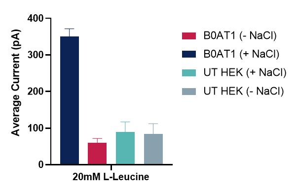 Bar graph showing sodium dependence of B0AT1 transport activity measured on the SURFE2R N1 platform. In the presence of sodium, strong transporter-specific currents were observed, while absence of sodium or use of untransfected HEK controls showed only background/endogenous activity, resulting in a 3.65-fold assay window.